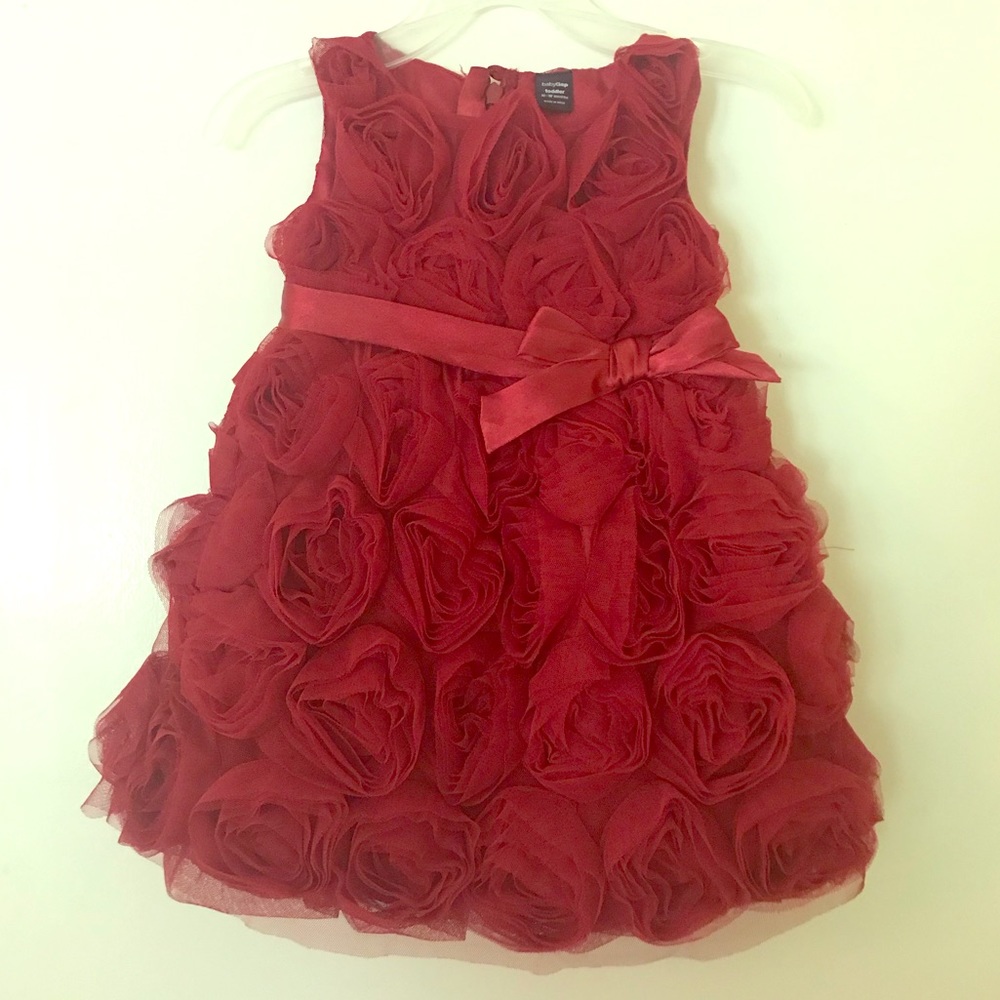 Baby Gap tulle rose holiday dress